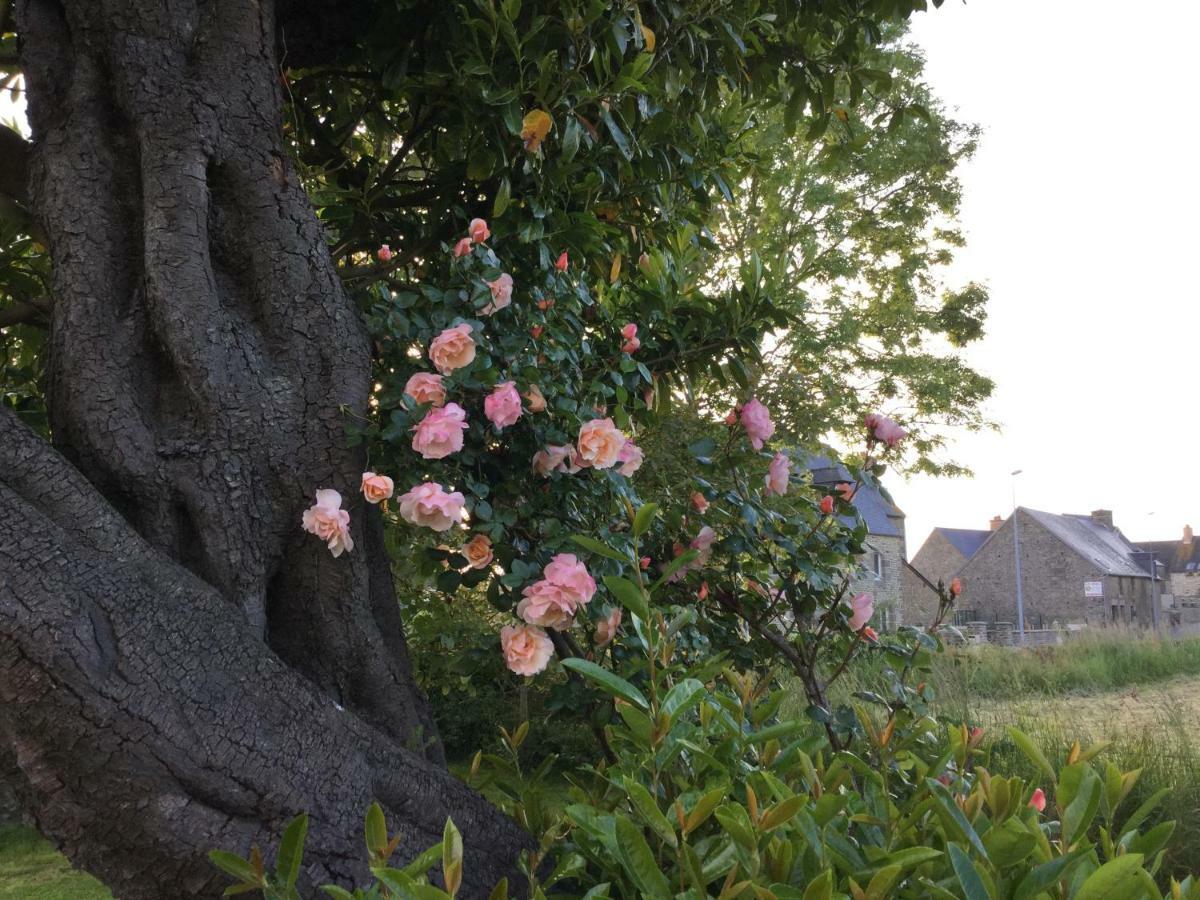 L'Ancien Presbytere D'Ardevon Exteriér fotografie